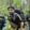 dimas wilatikto