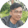 Adinan Rizfauzi